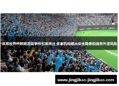 体育世界杯数据泄露事件引发关注 多家机构曝出安全隐患和信息外泄风险