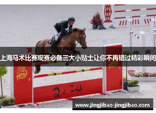 上海马术比赛观赛必备三大小贴士让你不再错过精彩瞬间 上海马术比赛观赛必备三大小贴士让你不再错过精彩瞬间