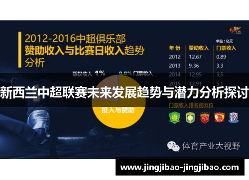 新西兰中超联赛未来发展趋势与潜力分析探讨