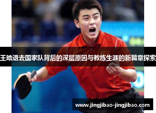 王皓退去国家队背后的深层原因与教练生涯的新篇章探索 王皓退去国家队背后的深层原因与教练生涯的新篇章探索